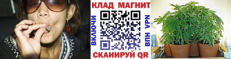 ГАШ Кувшиново