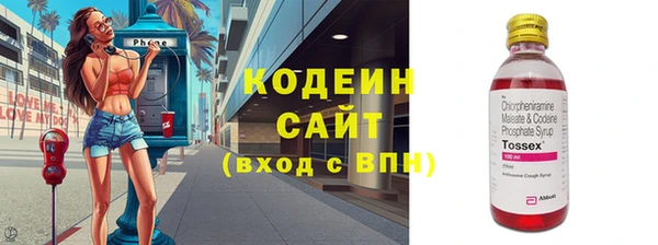 хмурый Новозыбков
