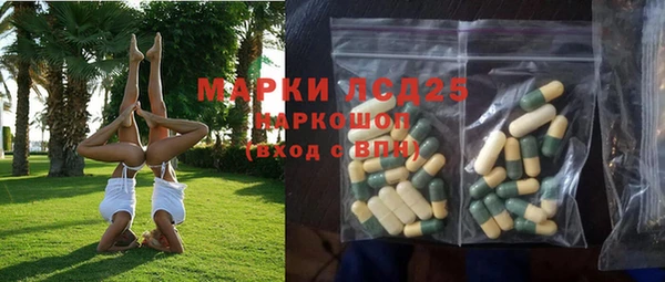 хмурый Новозыбков