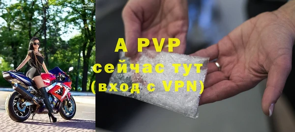 хмурый Новозыбков