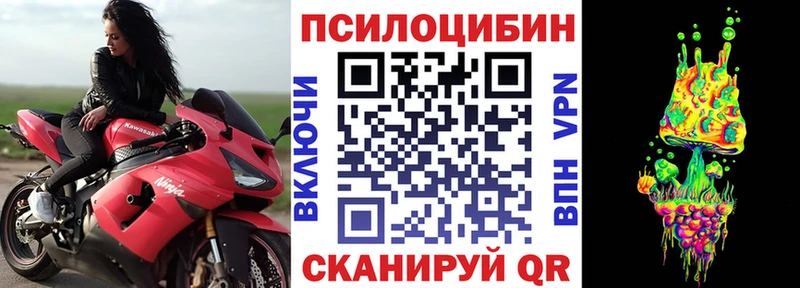 сколько стоит  Кувшиново  Псилоцибиновые грибы MAGIC MUSHROOMS 